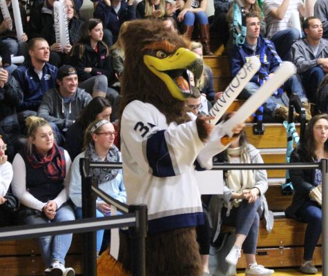 The Saint Anselm Hawk mascot pictured at a pep rally in Stoutenburgh Gym last year.