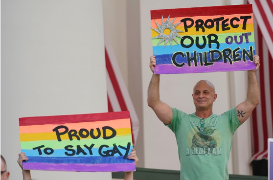 A protester in Florida showing displeasure toward Dont Say Gay bill