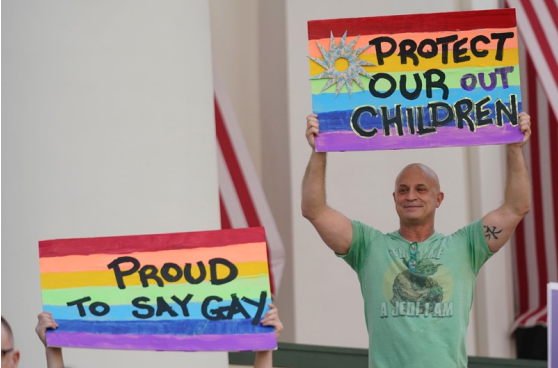 A protester in Florida showing displeasure toward Don't Say Gay bill