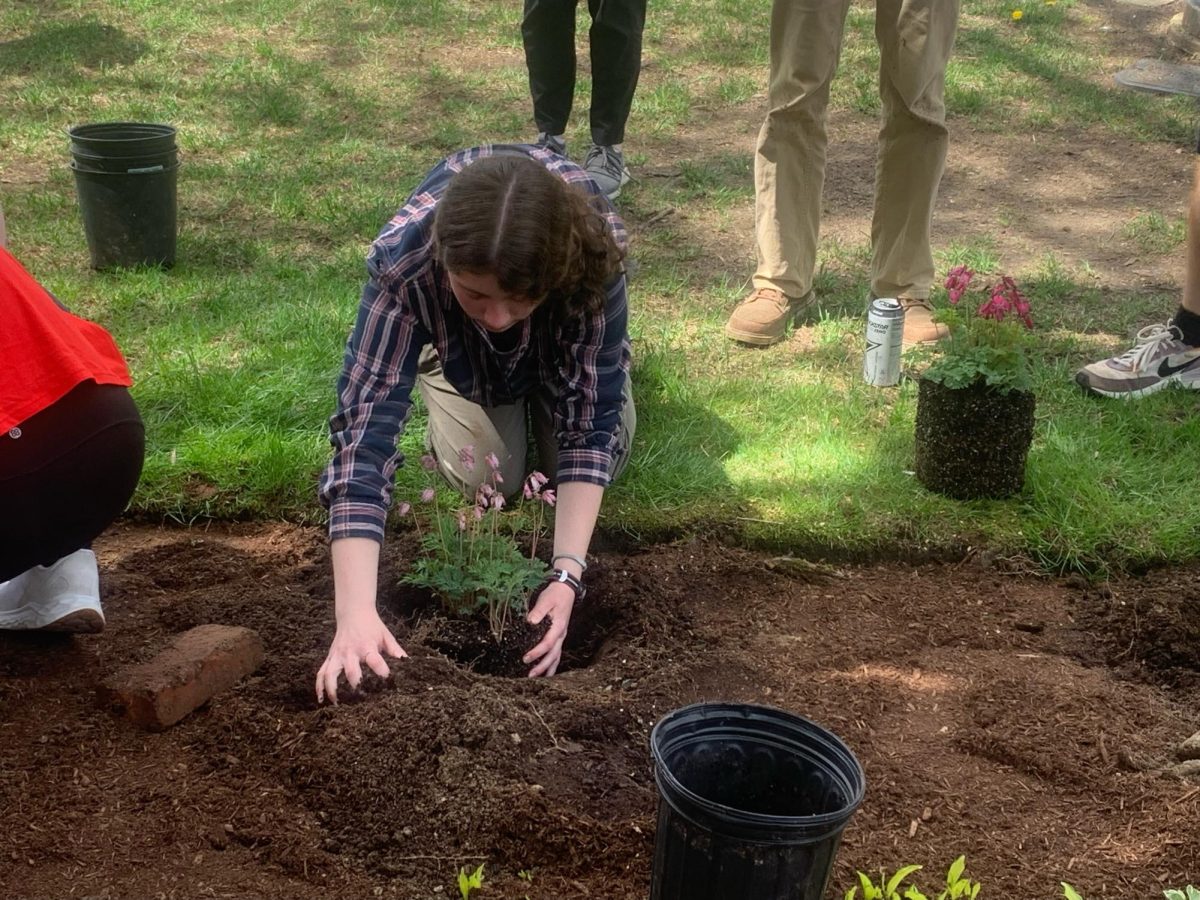 Students+in+Professor+Cronins+The+Brontes+class+planted+Bleeding+Heart+flowers+in+front+of+Bradley+House+to+honor+their+classmate+Caroline+Rogers.